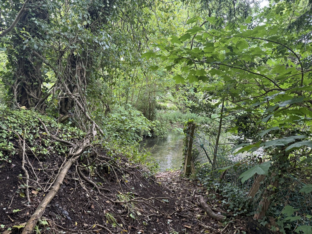 Lot: 146 - FREEHOLD HOUSE FOR INVESTMENT - End of garden looking into Brook